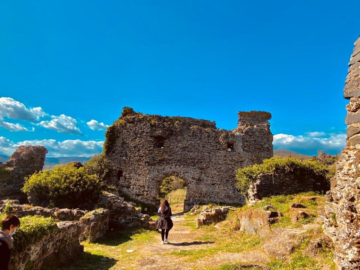 Fringiuli House Daire Trevignano Romano Dış mekan fotoğraf